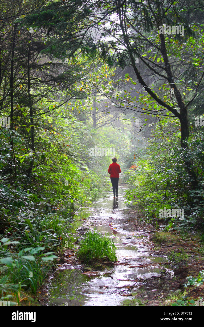 40,461.07596 Frau in einem roten Mantel zu Fuß auf einem nebligen nassen Tunnel wie Waldweg mit starken Hintergrundbeleuchtung Stockfoto