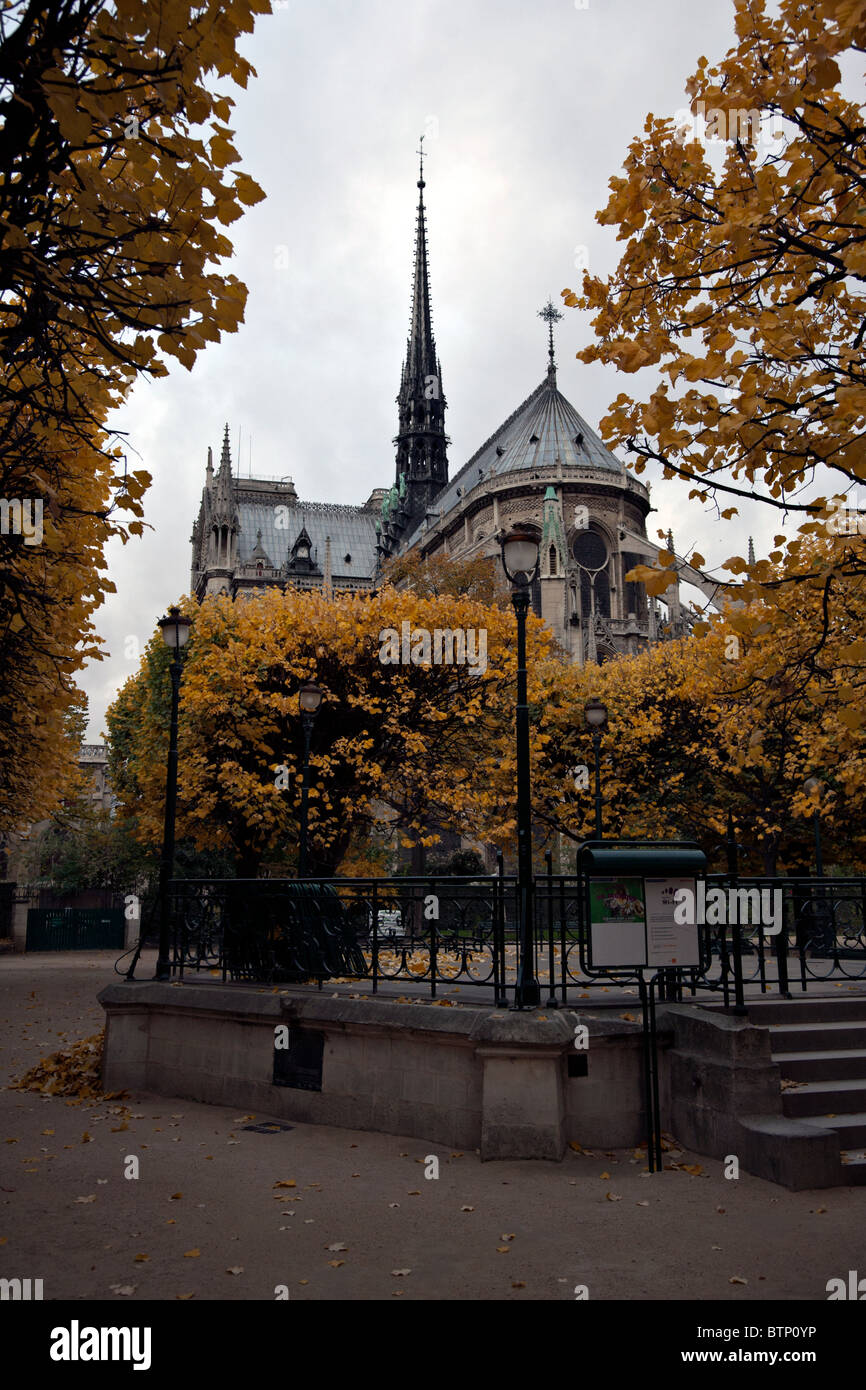 Notre Dame Cathedral in Paris im Herbst Stockfoto