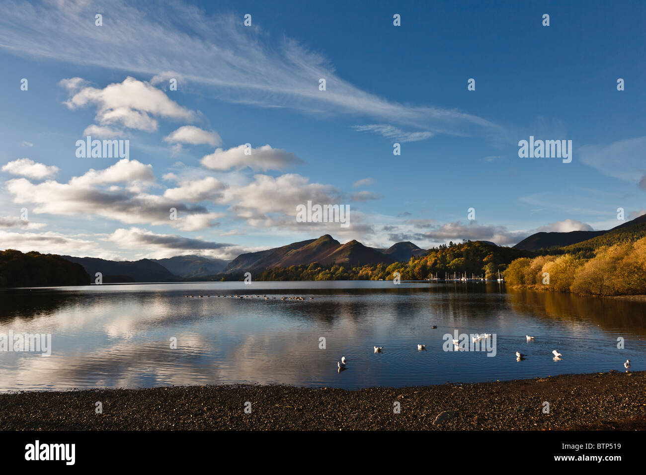 Am frühen Morgen herbstlicher Blick über Derwent Water von Keswick in Richtung Katze Glocken, Nationalpark Lake District, Cumbria, England Stockfoto