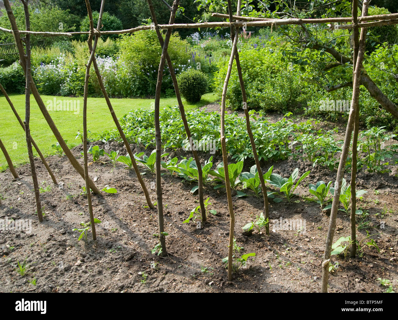 Gemüsegarten in Dorset Garten, Dorset, Großbritannien Stockfoto