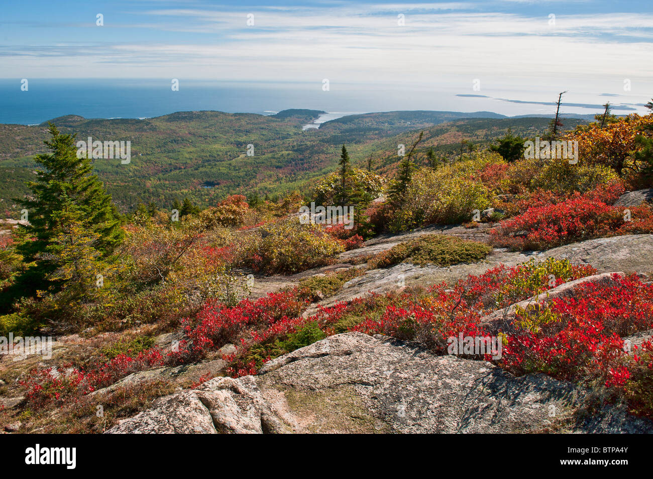 Acadia Landschaft, Acadia NP, Maine, USA Stockfoto