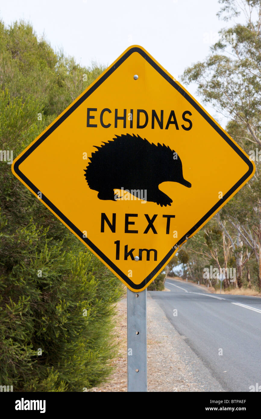 Australien, South Australia, Barossa Valley, Yalumba, Echidna Zeichen überschreiten Stockfoto