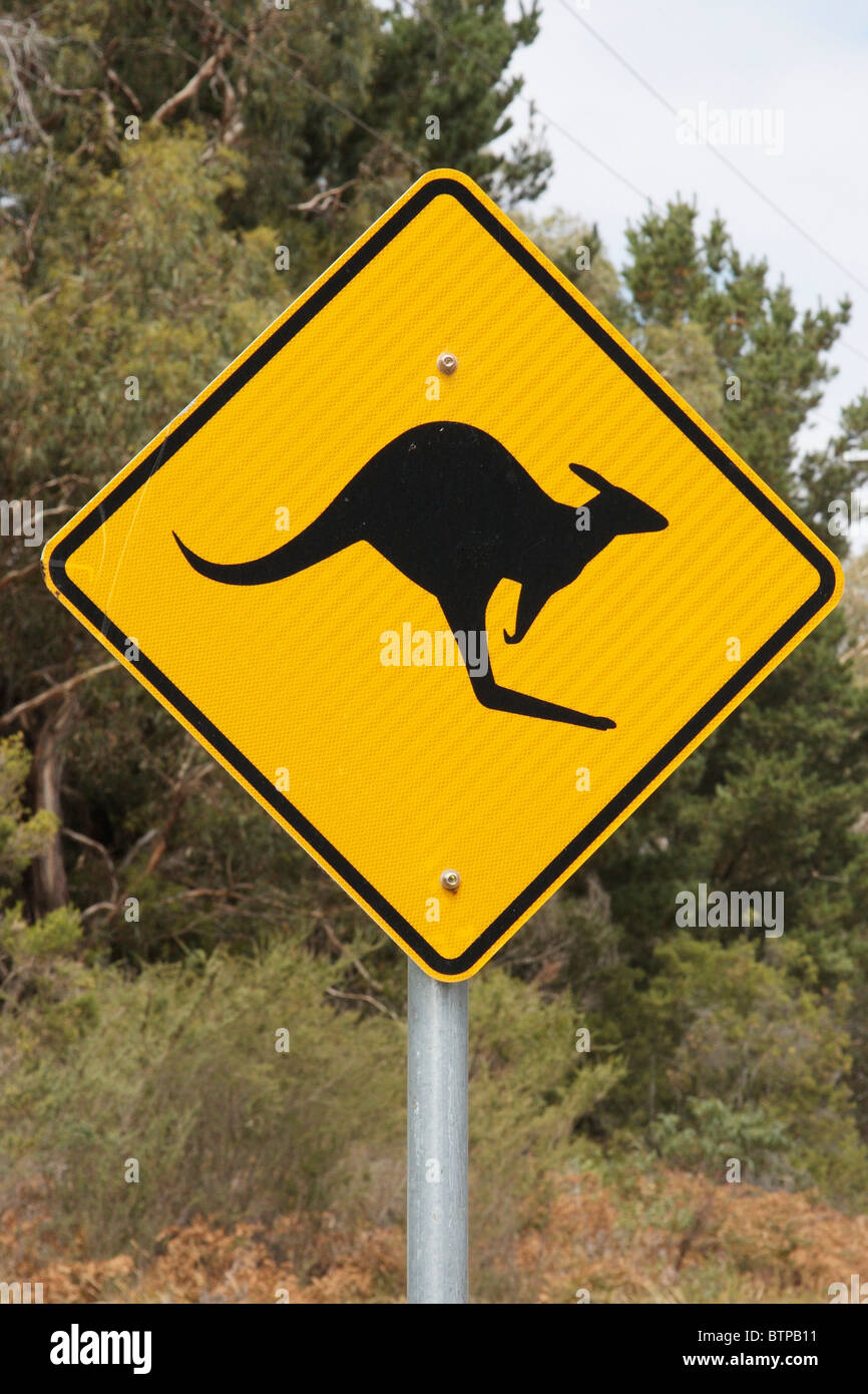 Australien, Victoria, Mornington Peninsula, grünen Busch, Kangaroo Kreuzung Zeichen Stockfoto
