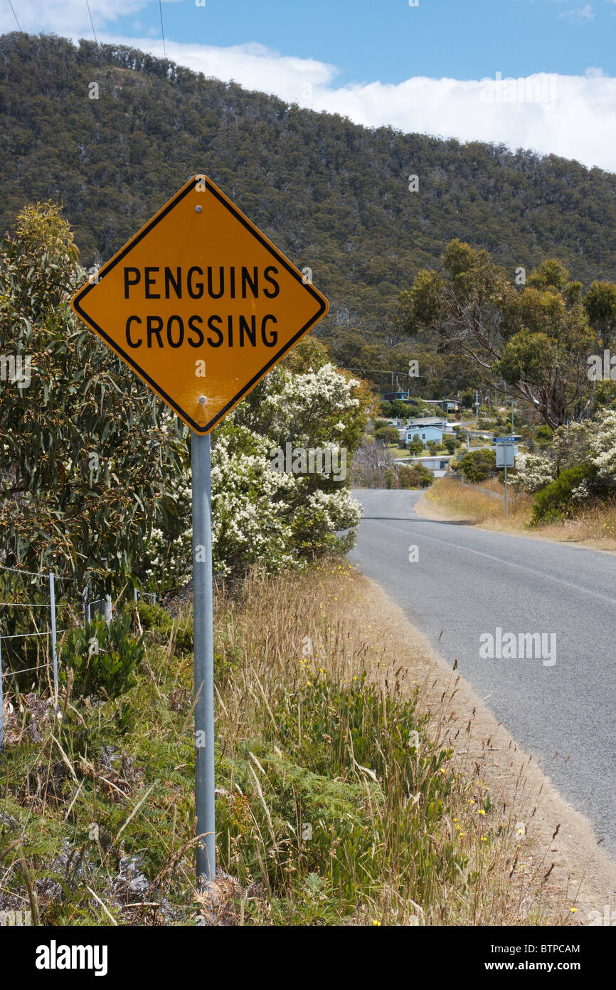 Australien, Tasmanien, Tasman Halbinsel Pinguine Zeichen überschreiten Stockfoto