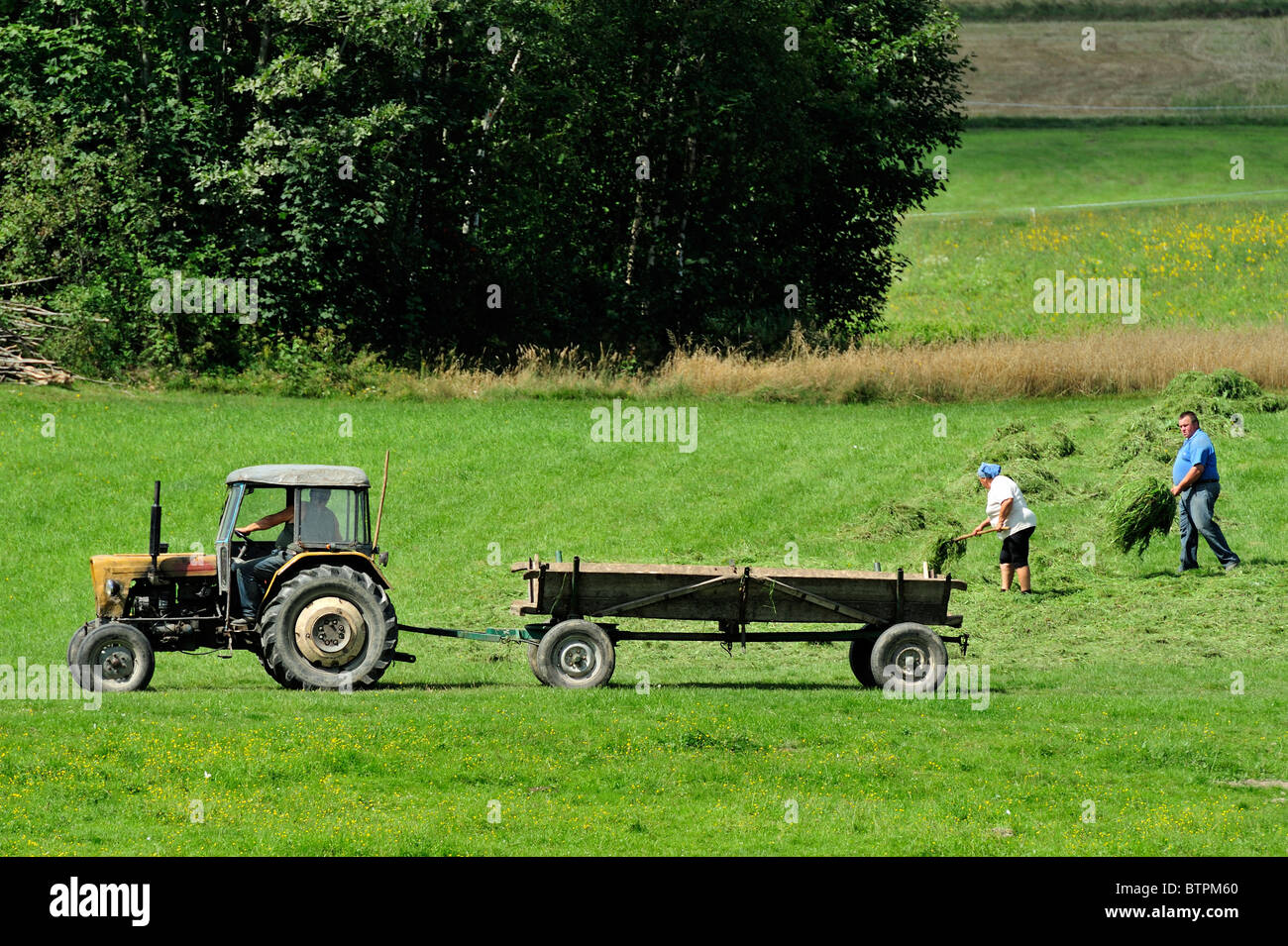 Swietokrzyskie Lechow ernten mit Ursus Traktoren Stockfoto