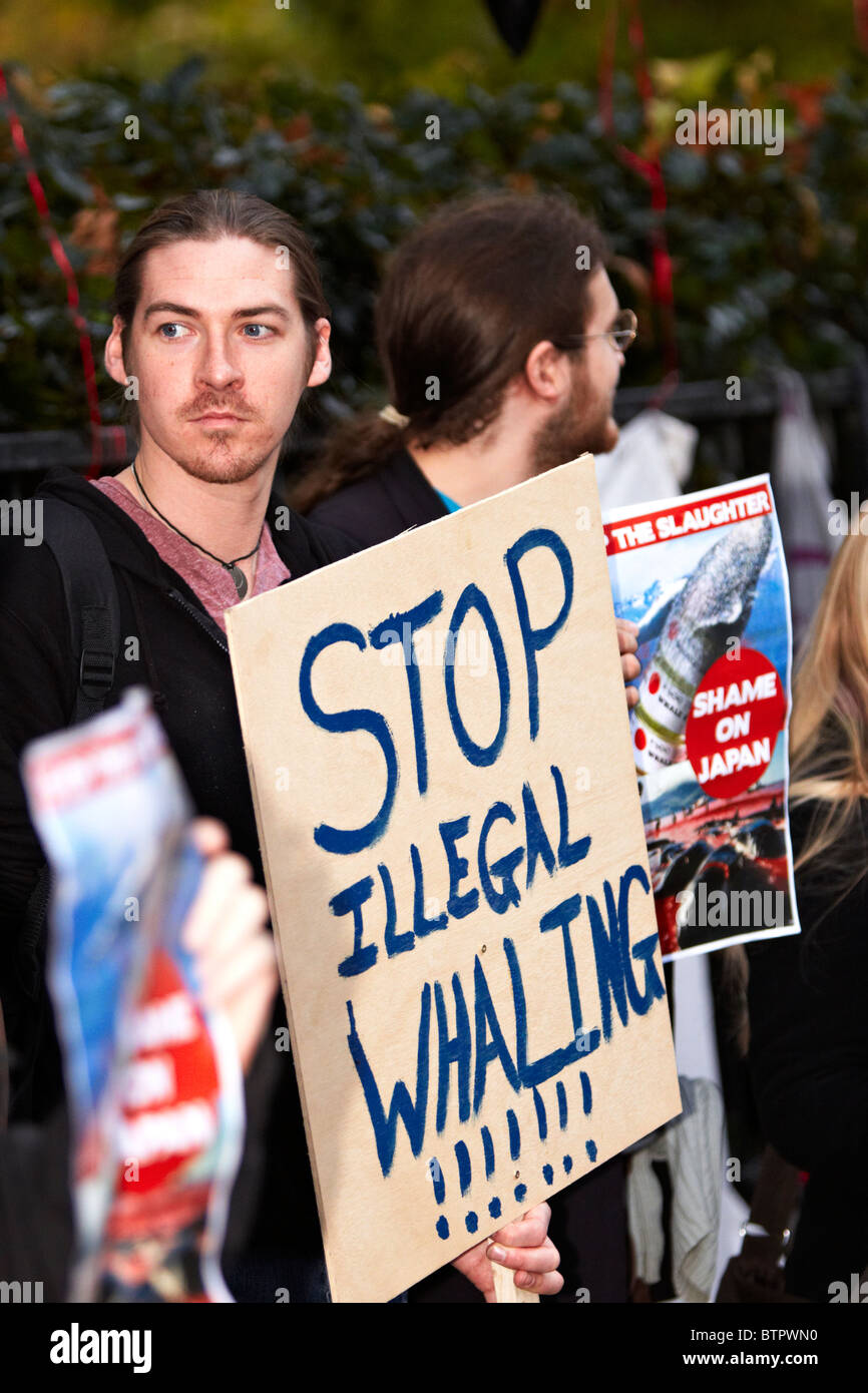 Demonstranten während einer Anti-Walfang-Protest vor der japanischen Botschaft Stockfoto