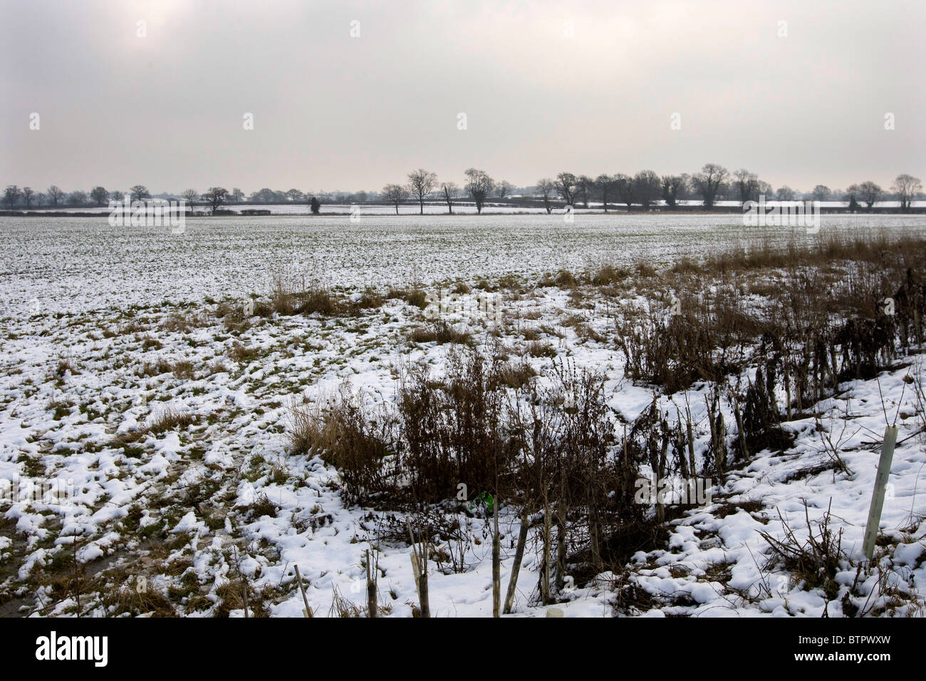 Die Website angenommen, dass jetzt wo der Schlacht von Bosworth 1485 stattfand mit Blick auf Stoke Golding Leicestershire Stockfoto