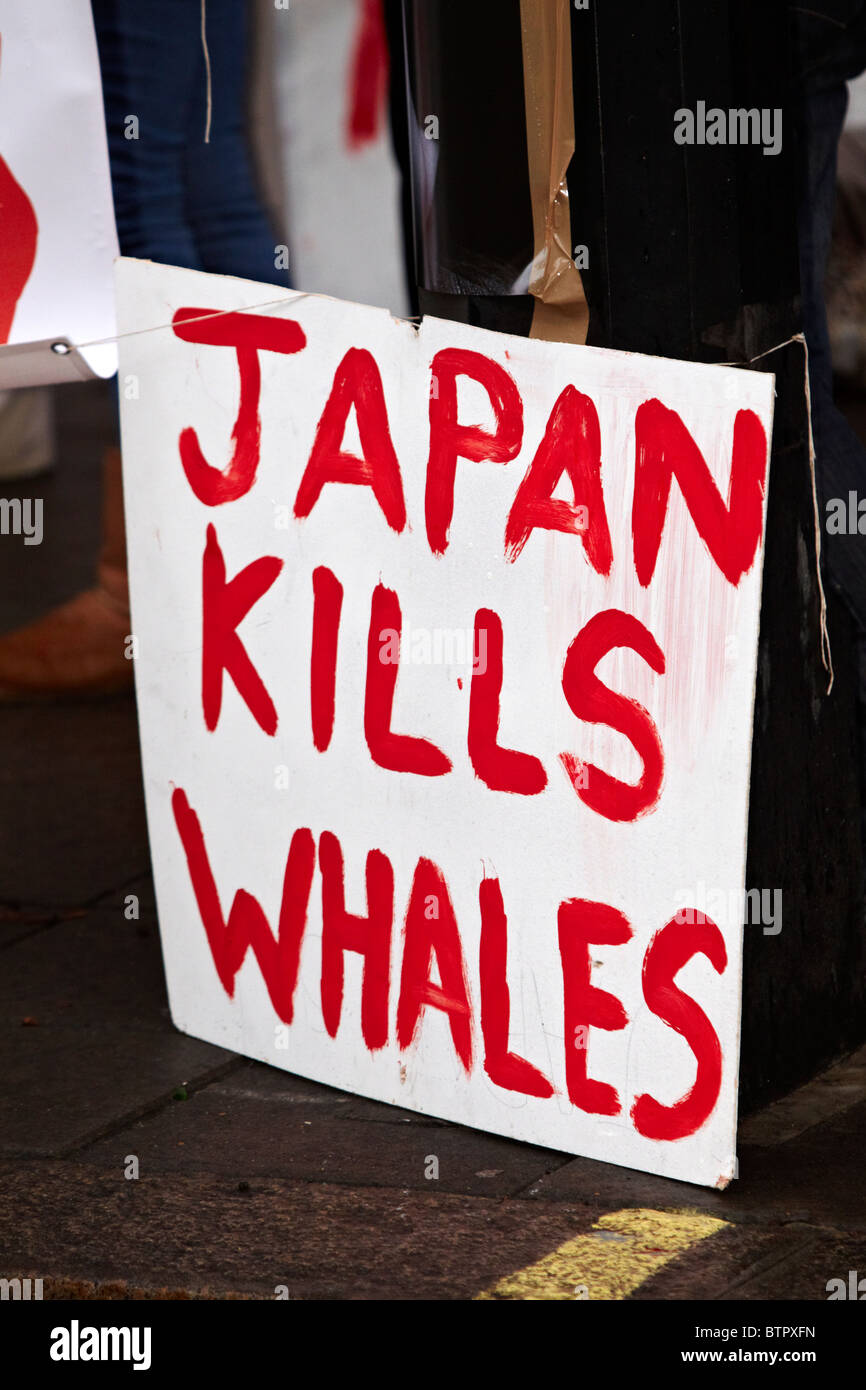 Demonstrant bei einer Anti-Walfang-Protest vor der japanischen Botschaft Stockfoto