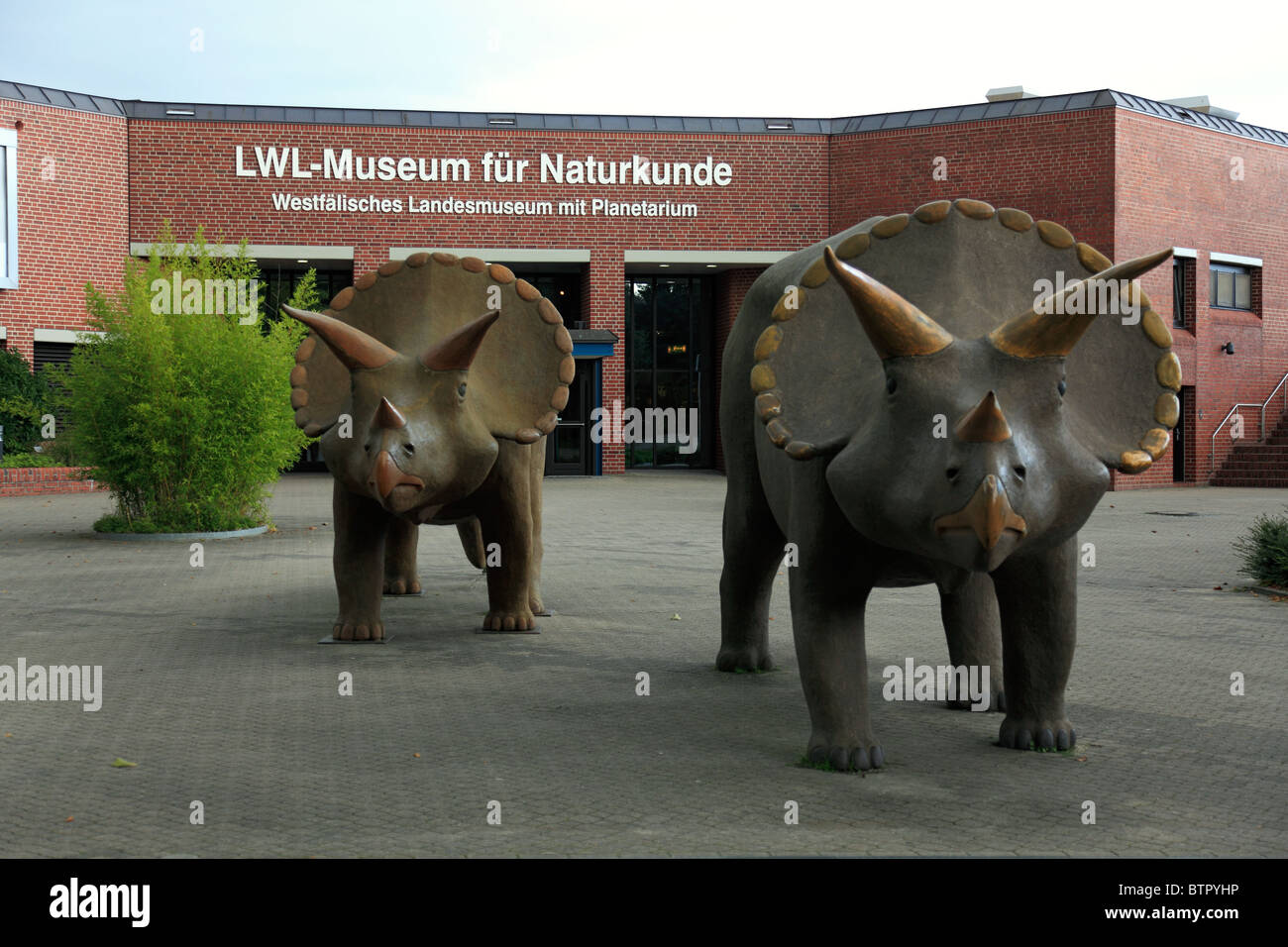 Verwunderlich Lwl Museum Fr Naturkunde Fotos