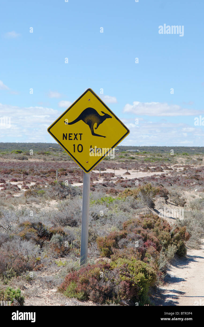 Australien, Kangaroo Kreuzung Zeichen Stockfoto