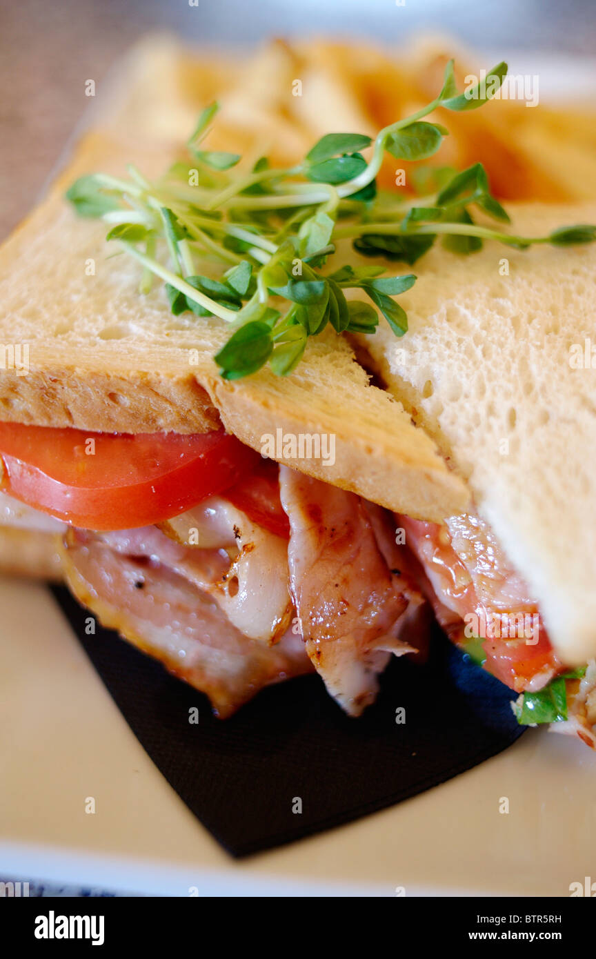 Australien, Sandwich, gefüllt mit Fleisch Stockfoto