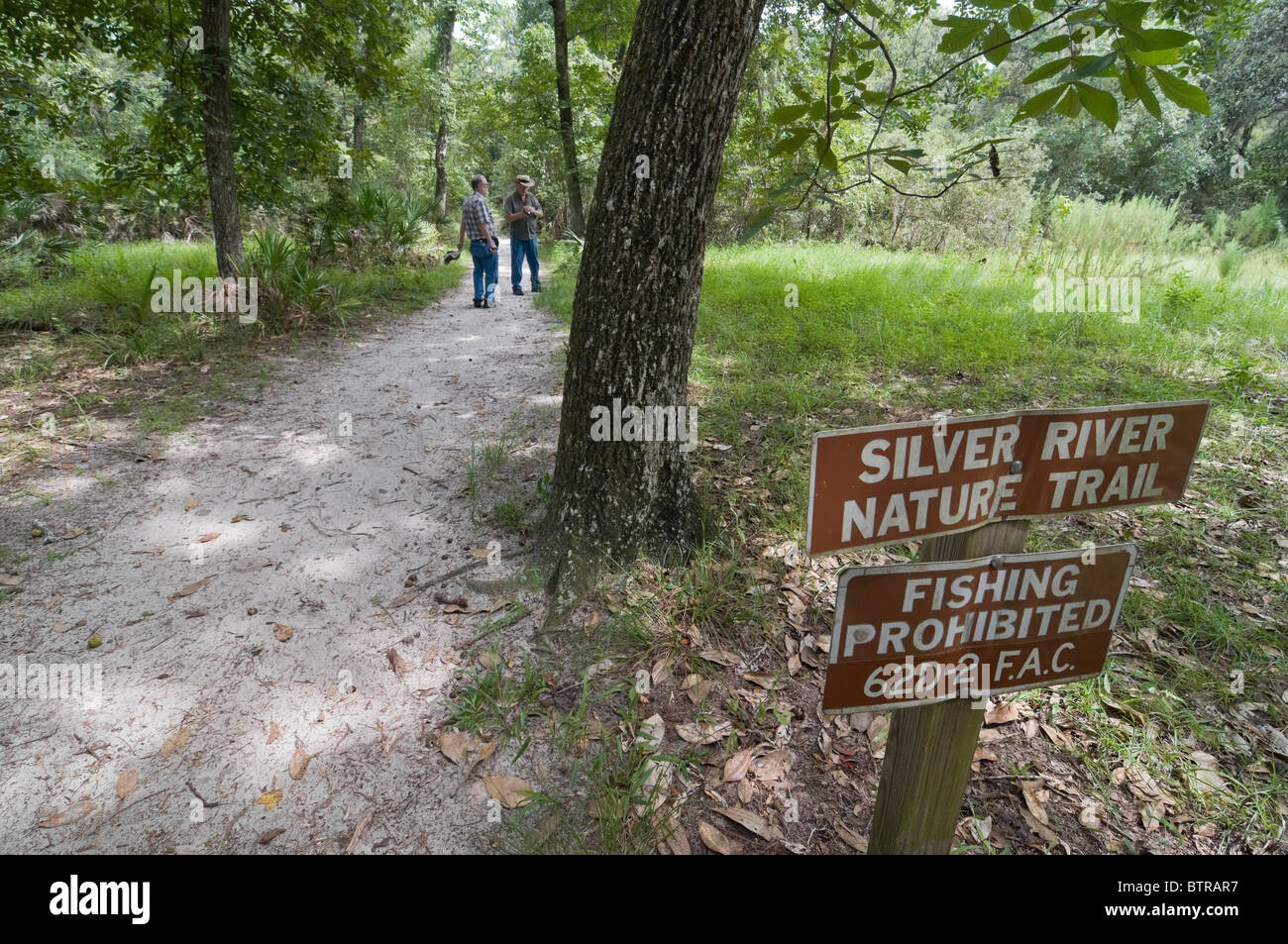 Silver River State Park Ocala Florida-Lehrpfad Stockfoto