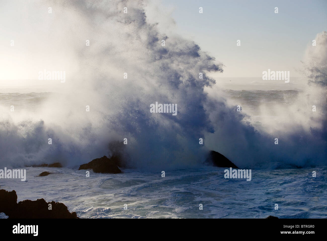 Eine große Welle stürzt über Felsen entlang der kalifornischen Küste. Stockfoto