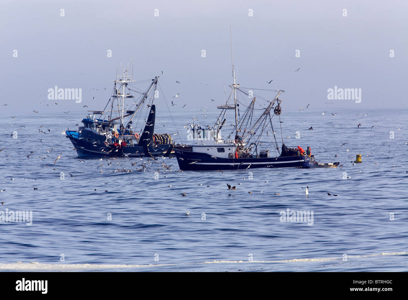 Angelboote/Fischerboote schleppen ihren Fang in Monterey Bay, Kalifornien. Stockfoto