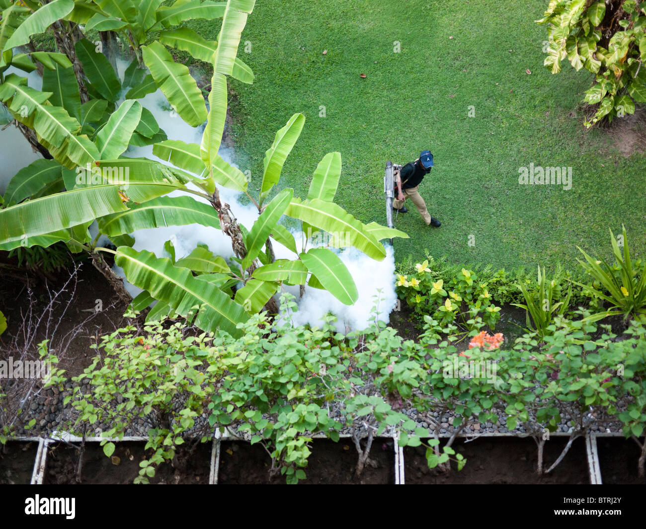 Das Gelände des Melia Bali Hotel Nusa Dua Bali Indonesien gegen Mücken ausräuchern Stockfoto