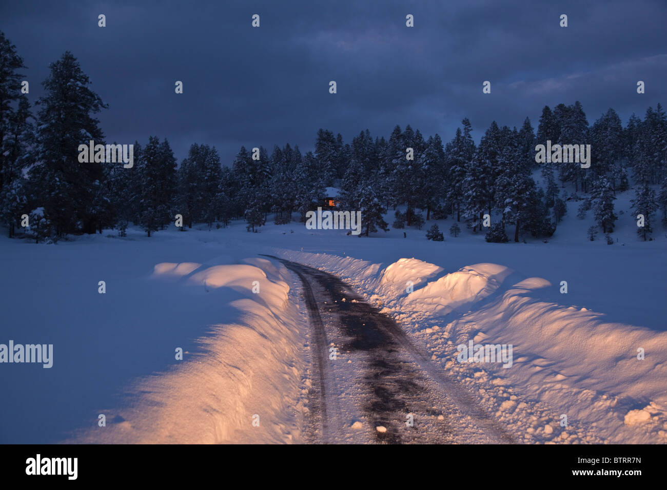 Scheinwerfer beleuchten schneereichen Winter Straße mit Haus in Ferne, Flagstaff, Arizona, USA Stockfoto