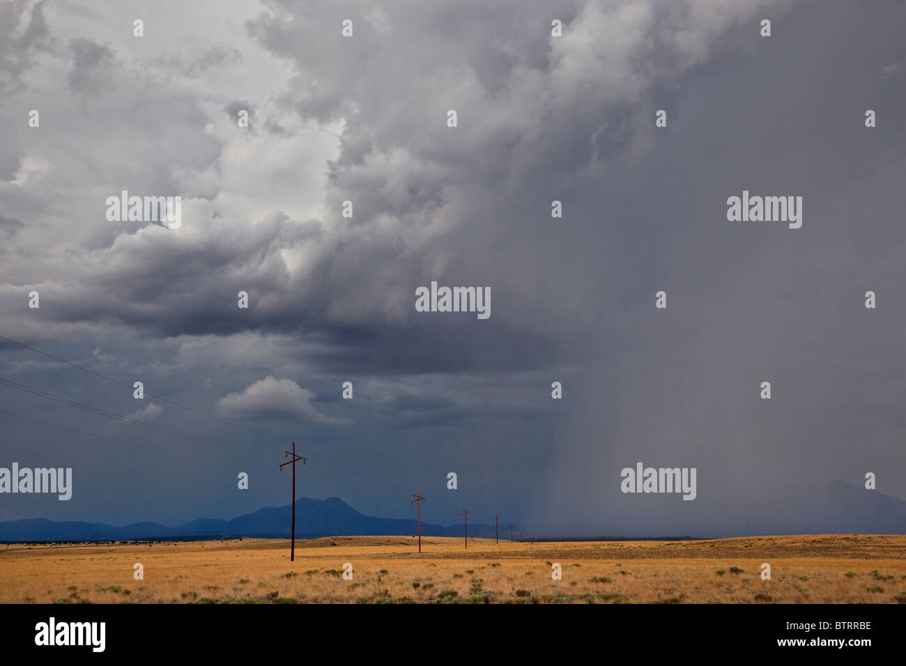 Sommergewitter über Wiesen in der Nähe von Highway 89 am grauen Berg, Coconino County, Arizona, USA Stockfoto