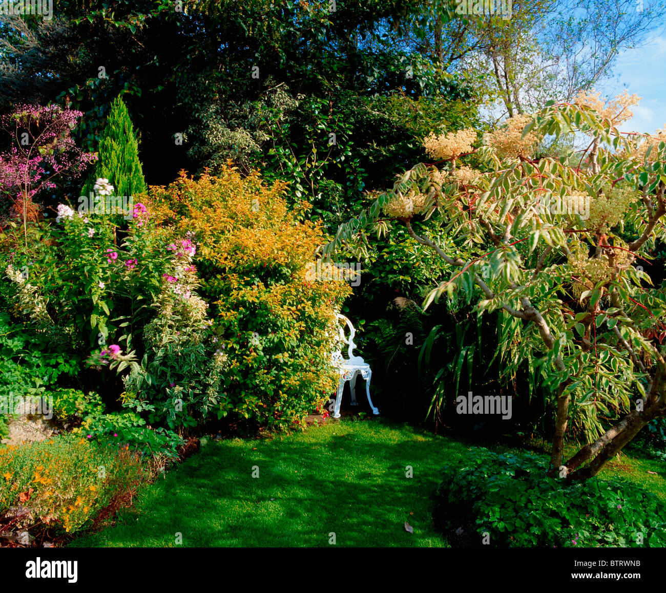 HETHERSETT, Co. Wexford, Irland; Bunte ältester In einer Sitzecke Stockfoto
