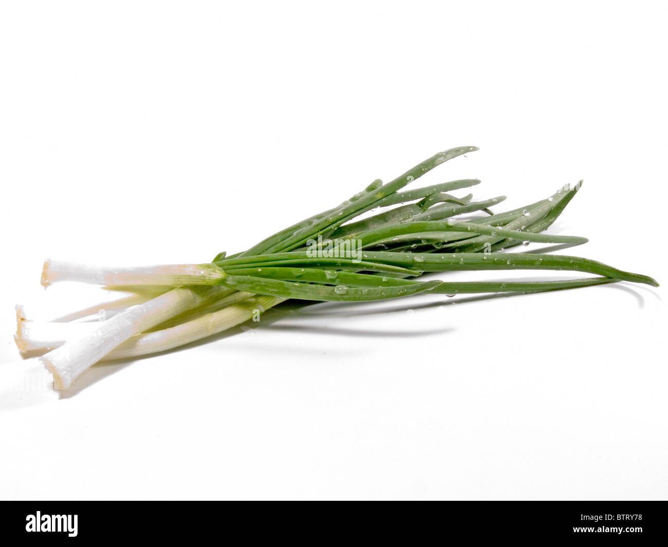 Frühlingszwiebeln auf dem weißen Hintergrund isoliert Objekt Stockfoto