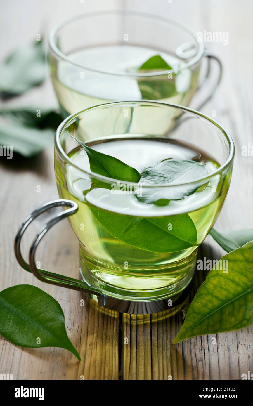 Nahaufnahme von frischem grünem Tee, Blätter Fokus auf den Tee im Wasser Stockfoto