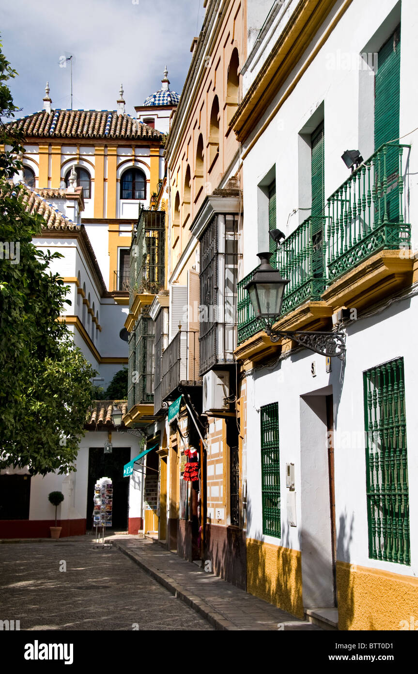 Santa Cruz Altstadt in der Nähe von La Giralda Sevilla Spanien Stockfoto