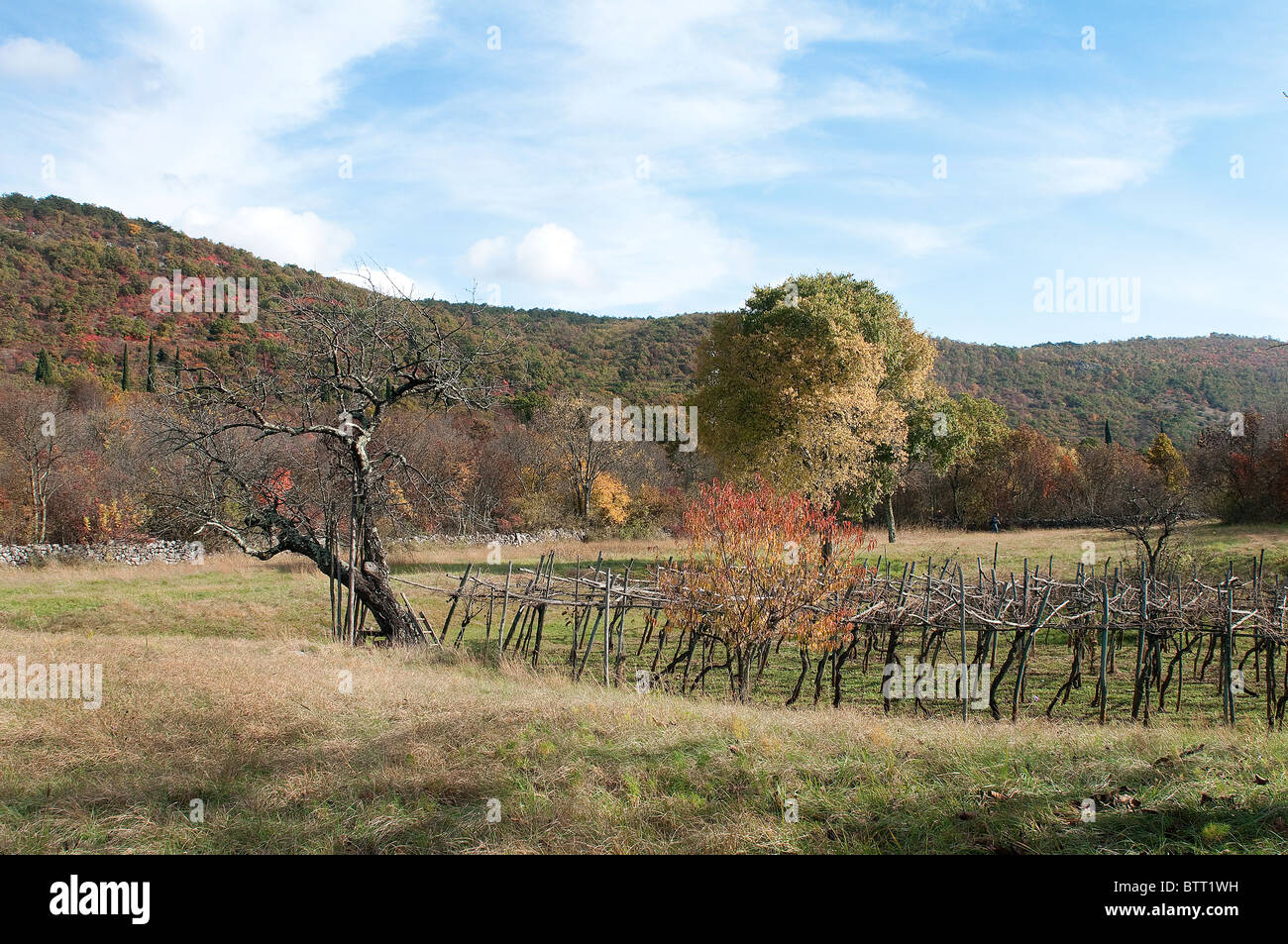 Die Karstumgebung Landschaft im Herbst. Stockfoto