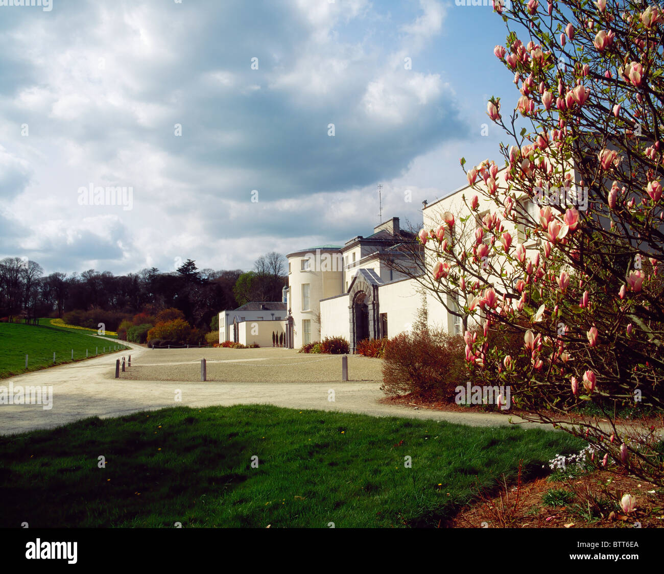 Magnolie, Mount Congreve, Co Waterford, Irland Stockfoto