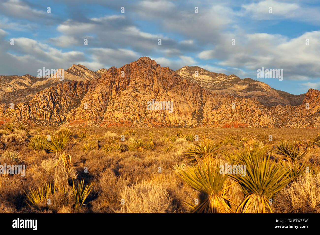 Warmer Sonnenaufgang Licht auf La Madre Höhepunkt in Nevada Red Rock National Conservation Area in der Nähe von Las Vegas. Stockfoto