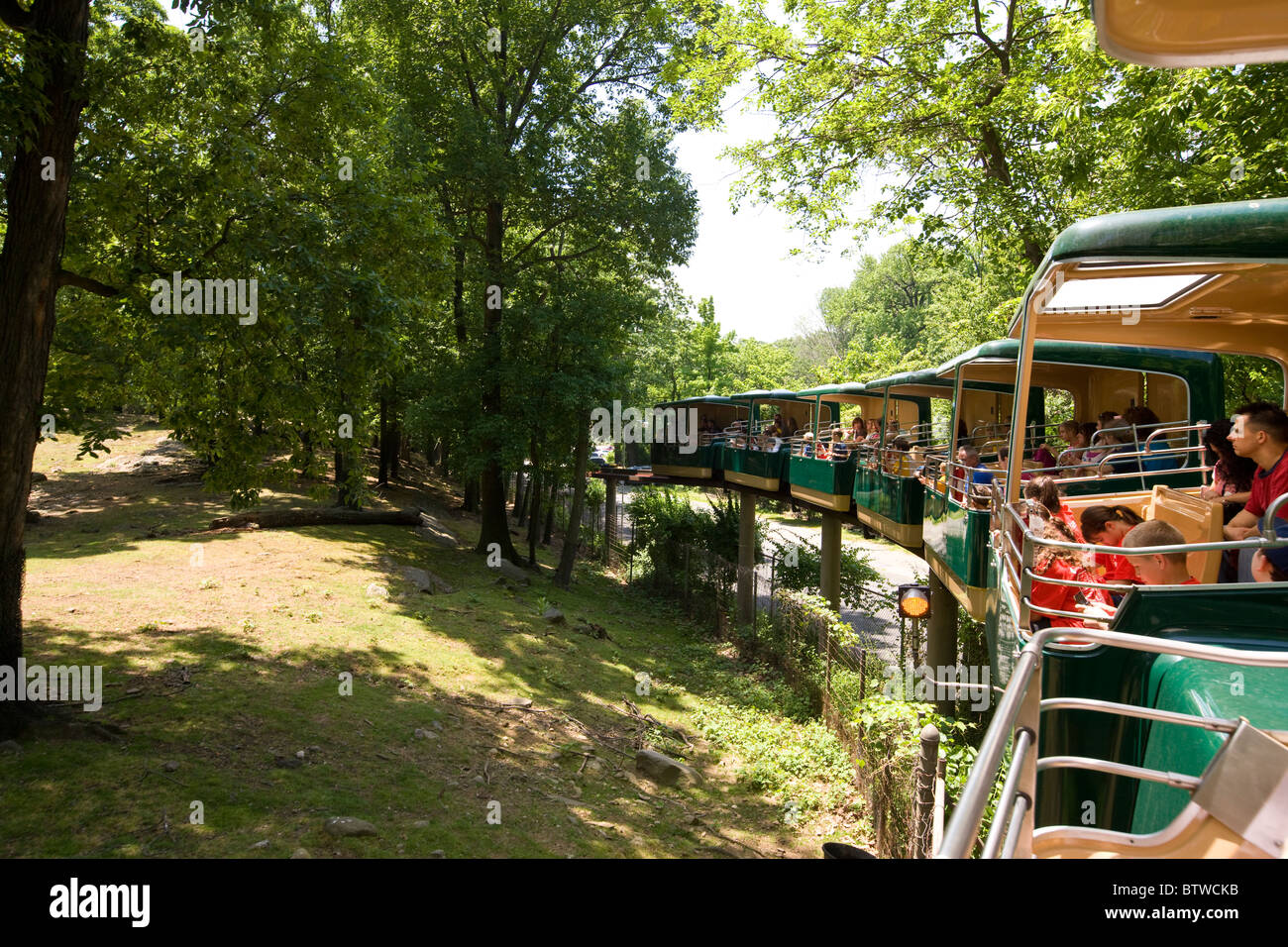 Wildes Asien Einschienenbahn in der Bronx Zoo Stockfoto