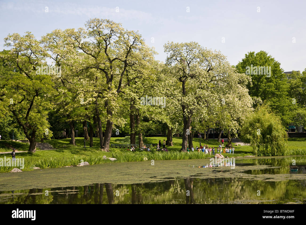 Harlem Meer im Central Park Stockfoto