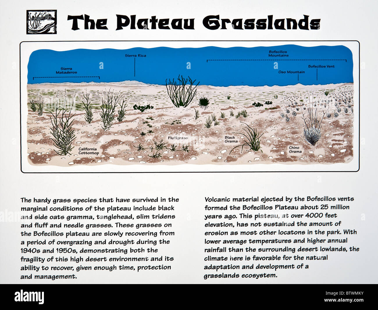 Grasland-Hinweisschild an der Big Bend Ranch State Park, Texas, USA Stockfoto