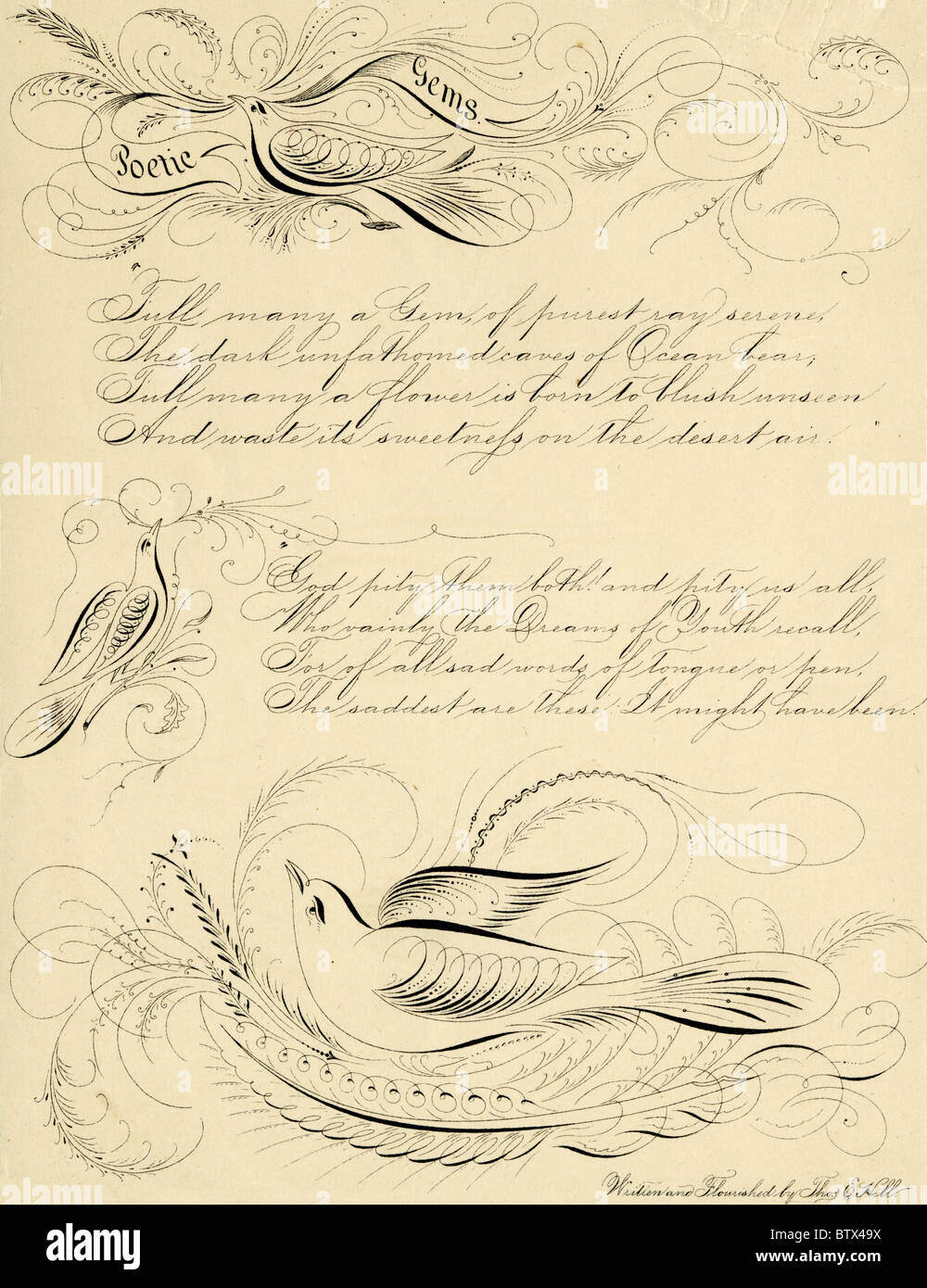 Ca. 1840 s kalligraphische gedeihen der Poesie und der Vögel, durch Thomas E. Hill. Stockfoto