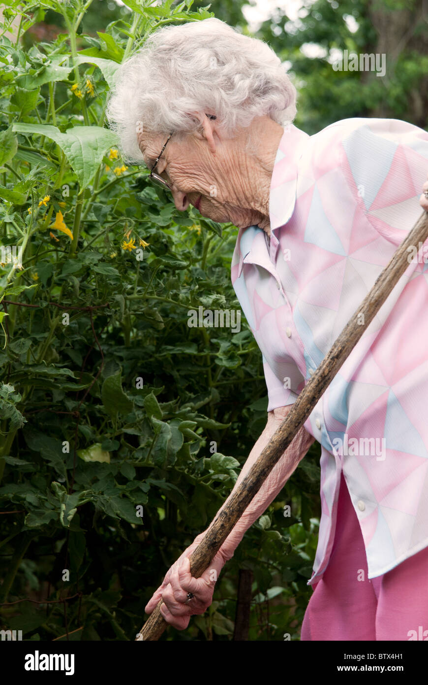 Ältere Frau, die ihrem Garten zu hacken. Stockfoto