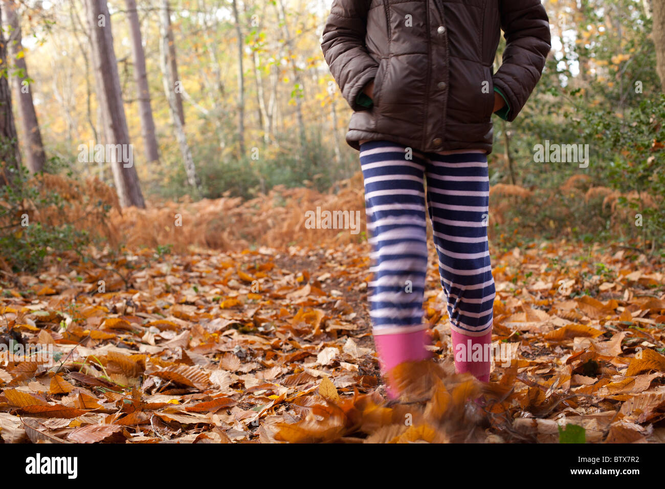 Kind treten Blätter im Wald Stockfoto
