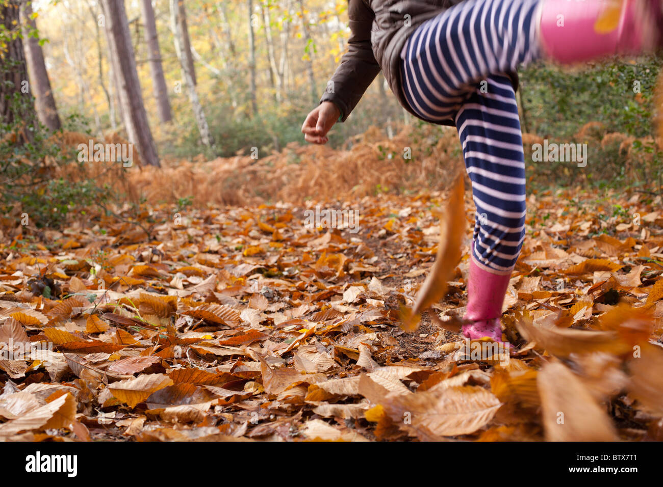 Kind treten Blätter im Wald Stockfoto