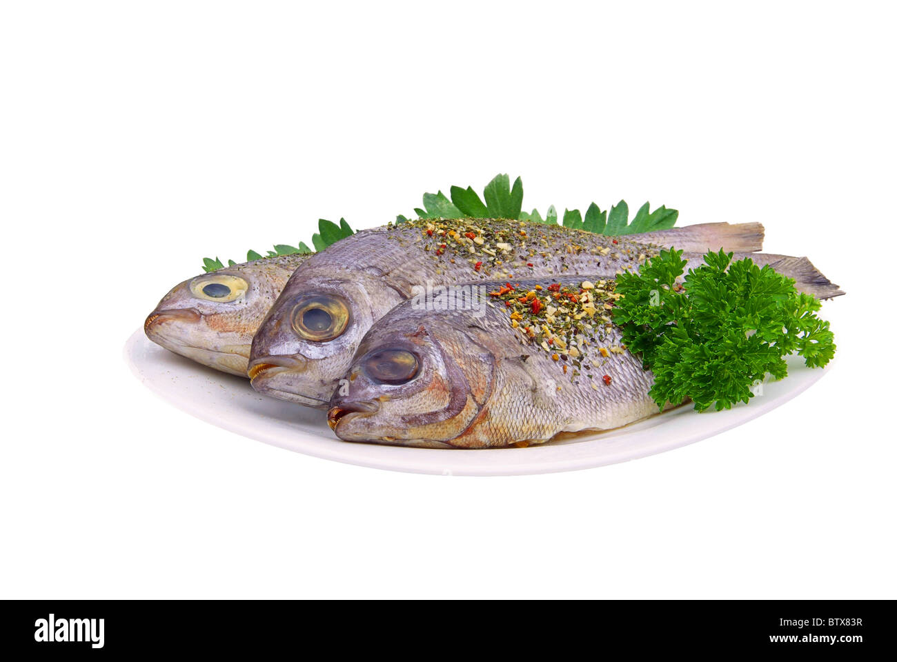 Dorade - vergoldete Kopf Brassen 17 Stockfoto