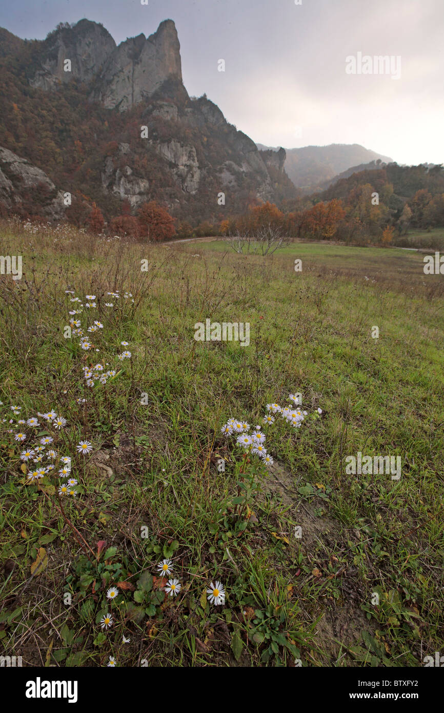 Sassi Roccamalatina Stockfoto