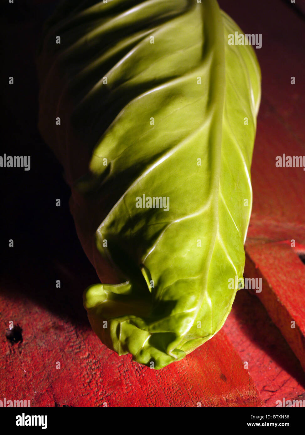 Spitzkohl auf roten Holzpalette Stockfoto