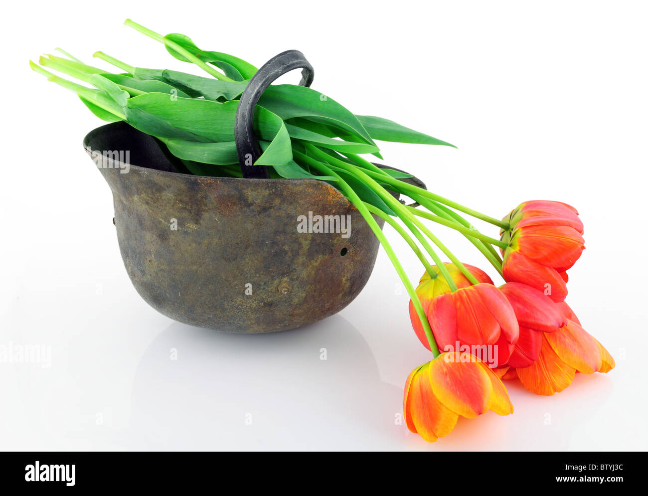 Stahlhelm und Blumen Stockfoto