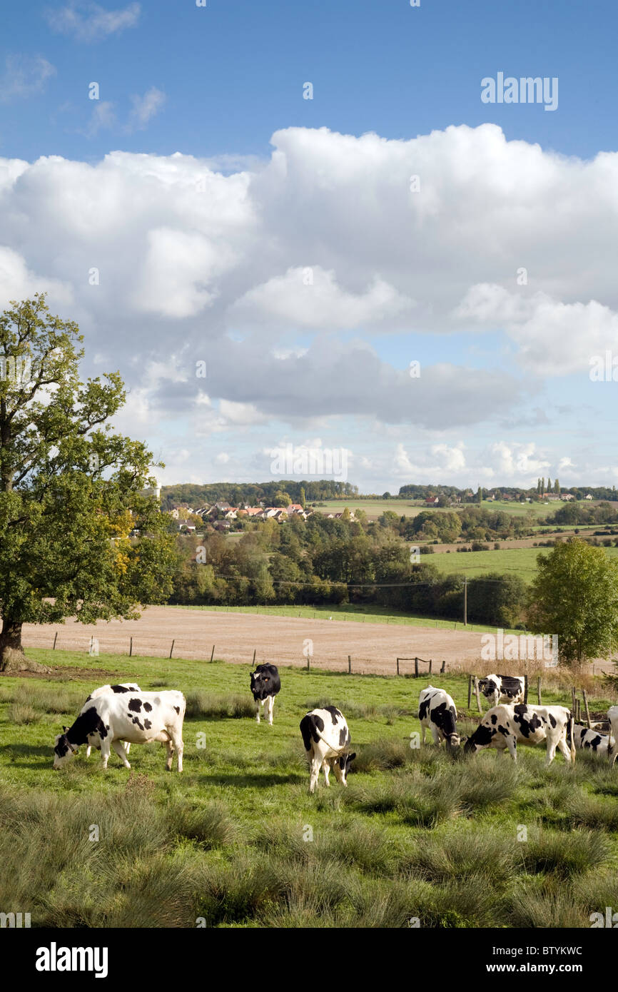 Französische Landschaft - Ackerland mit Blick auf das Dorf St. Simeon in der Nähe von Coulommiers, ile de france Nordfrankreich, Europa Stockfoto