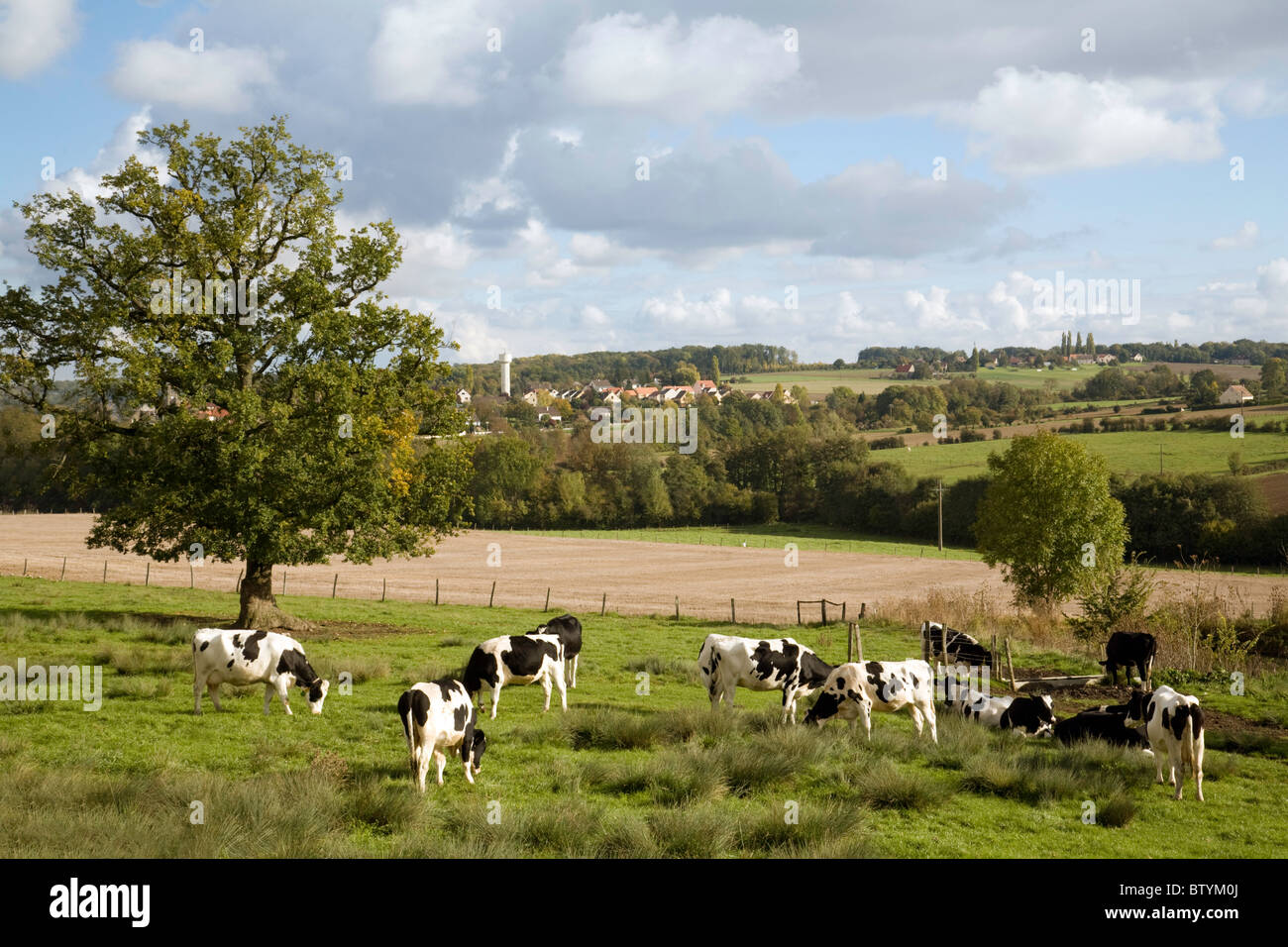 Französisch Natur - Ackerland mit Blick auf das Dorf St. Simeon in der Nähe von Coulommiers, Ile de France Nord-Frankreich Stockfoto