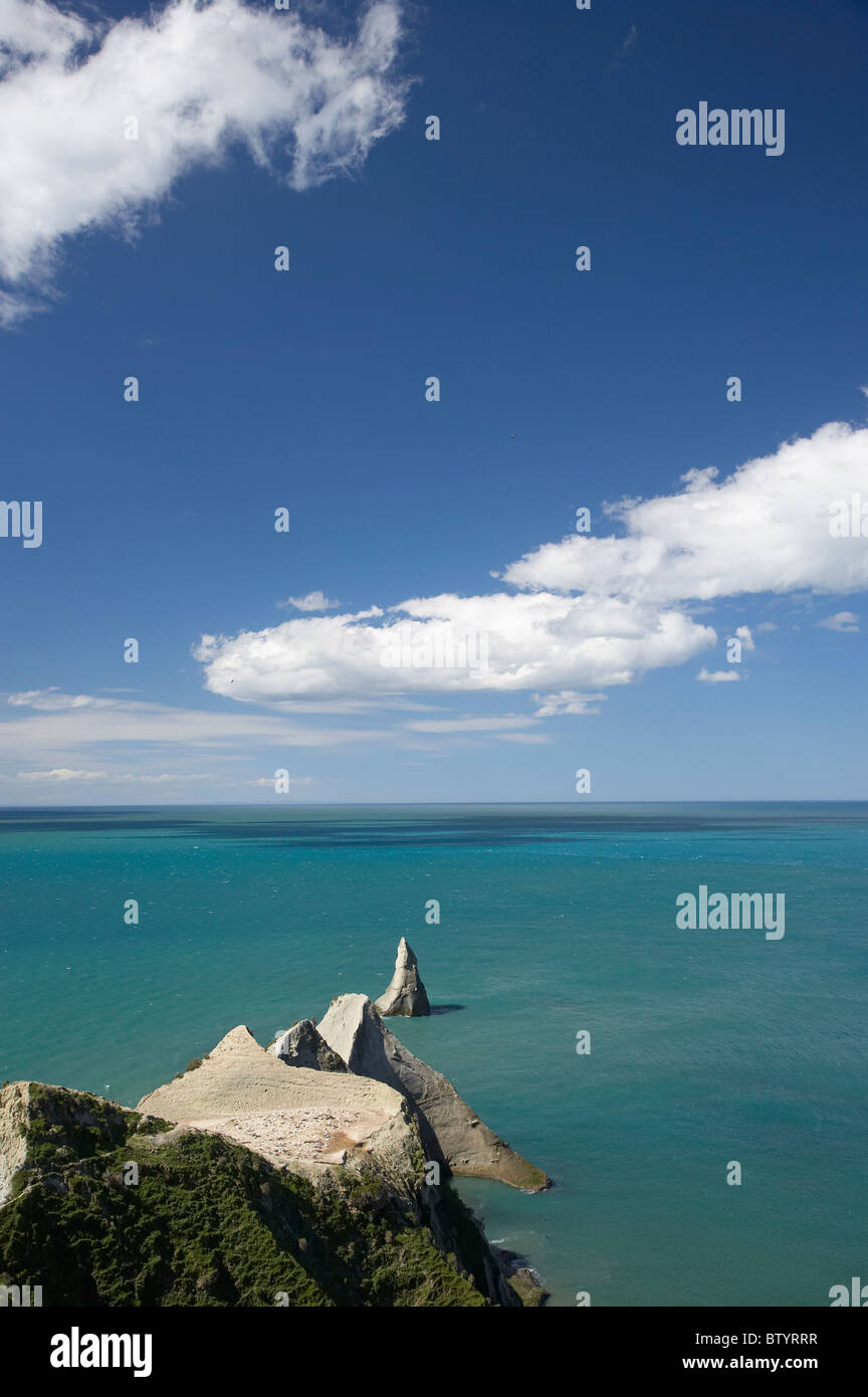 Cape Kidnappers Gannet Colony, Hawkes Bay, North Island, Neuseeland Stockfoto