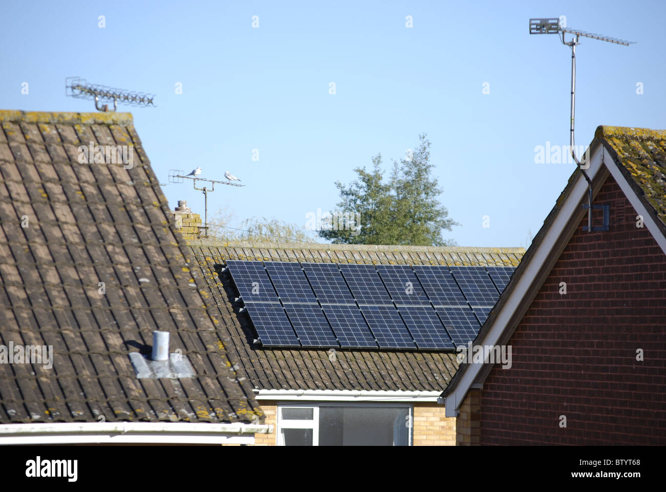 Sonnenkollektoren auf dem Dach eines Hauses in UK. Neue PV-Anlagen können von der Regelung der Einspeisevergütung Einkommen generieren. Stockfoto