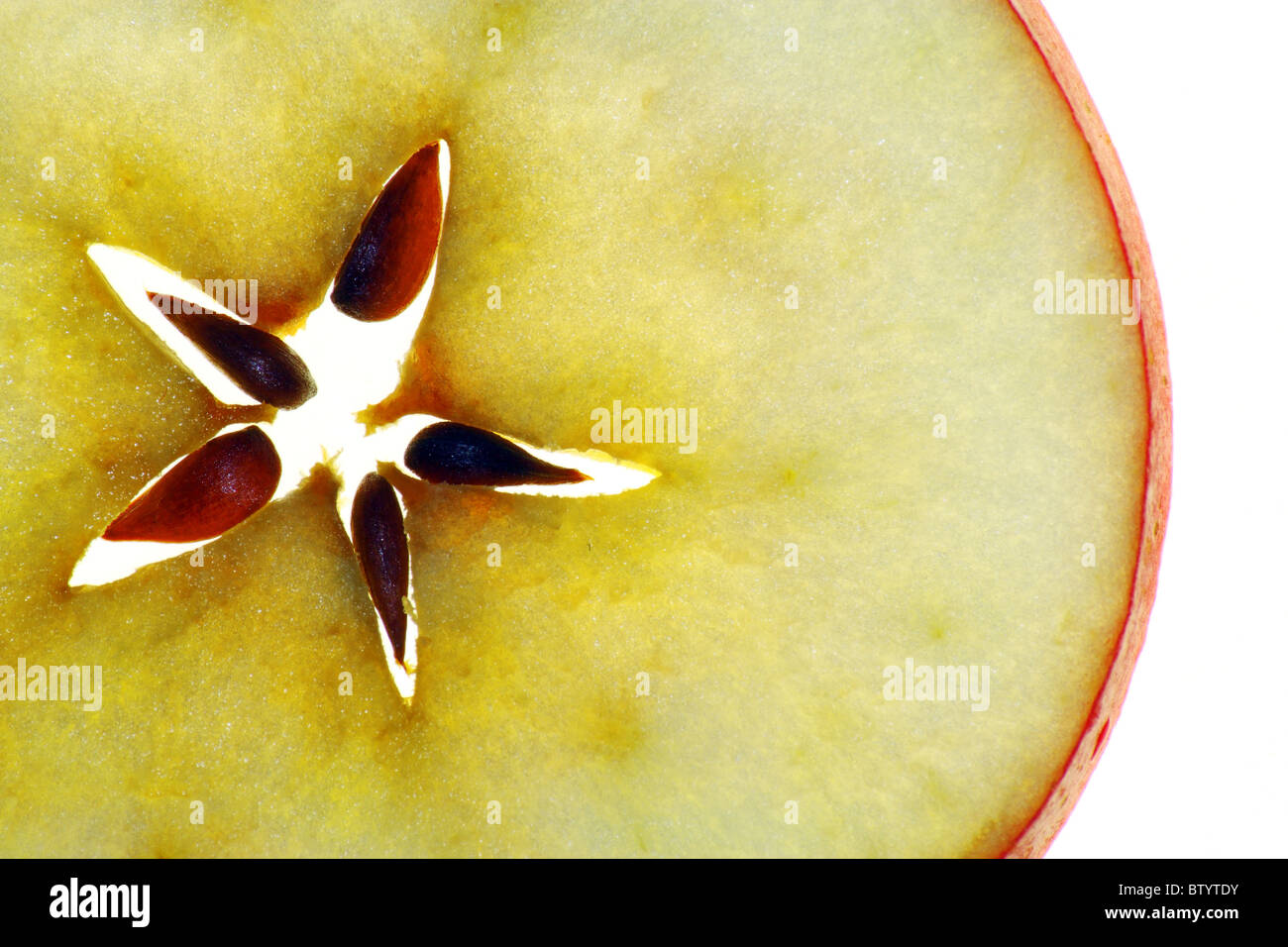 Durchscheinende Scheibe des Apfels Stockfoto