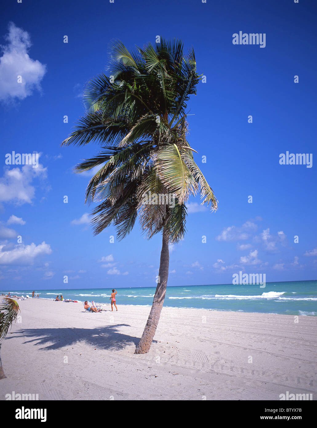 Hollywood Beach, Hollywood, Florida, Vereinigte Staaten von Amerika Stockfoto