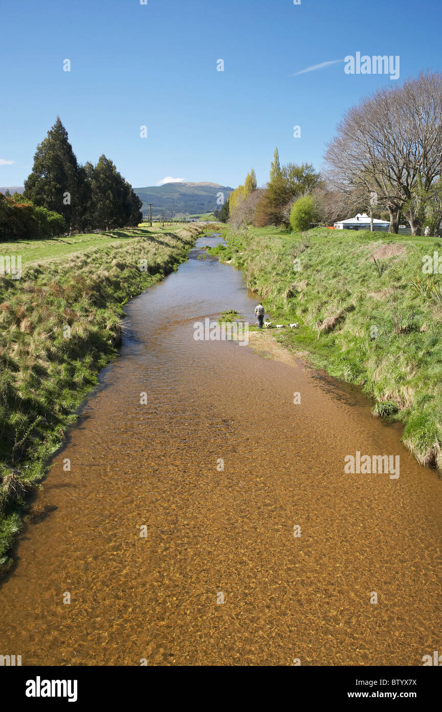 Silber-Stream und Floodbanks, Mosgiel, Dunedin, Otago, Südinsel, Neuseeland Stockfoto