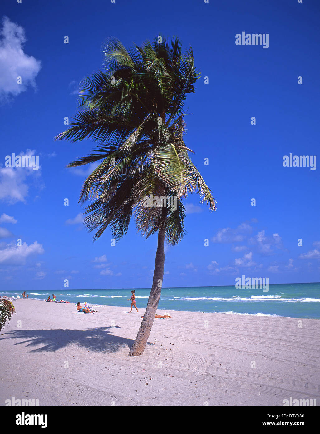 Hollywood Beach, Hollywood, Florida, Vereinigte Staaten von Amerika Stockfoto