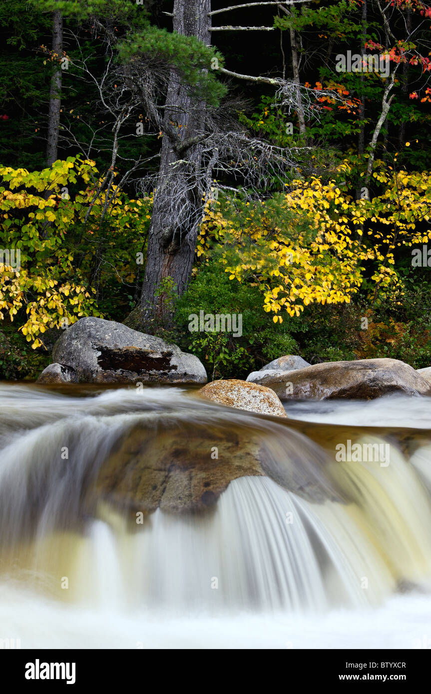 Lower Falls am Fluss Swift mit Herbst Farbe in den White Mountains National Forest in New Hampshire Stockfoto