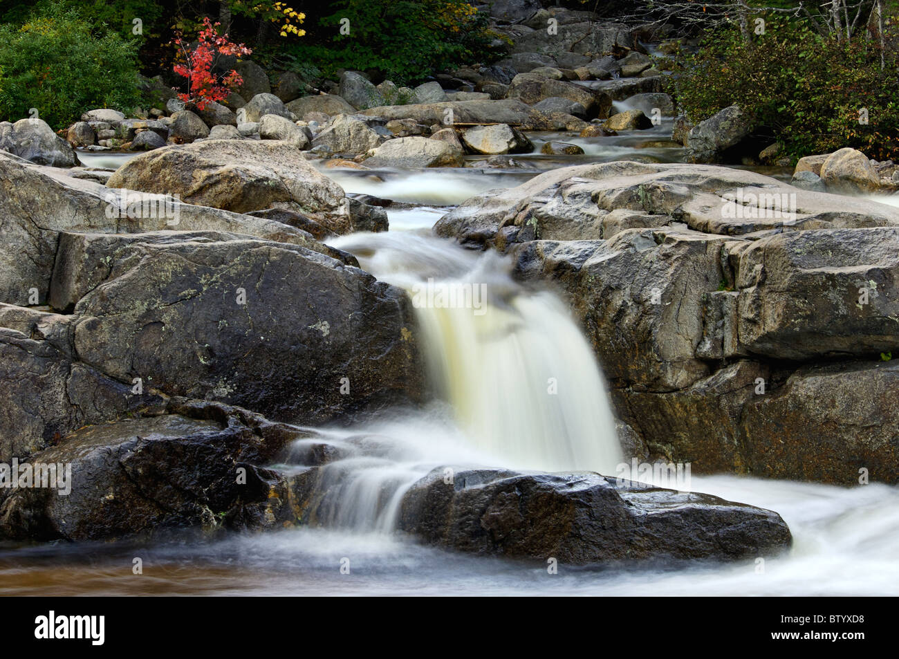 Lower Falls am Fluss Swift mit Herbst Farbe in den White Mountains National Forest in New Hampshire Stockfoto