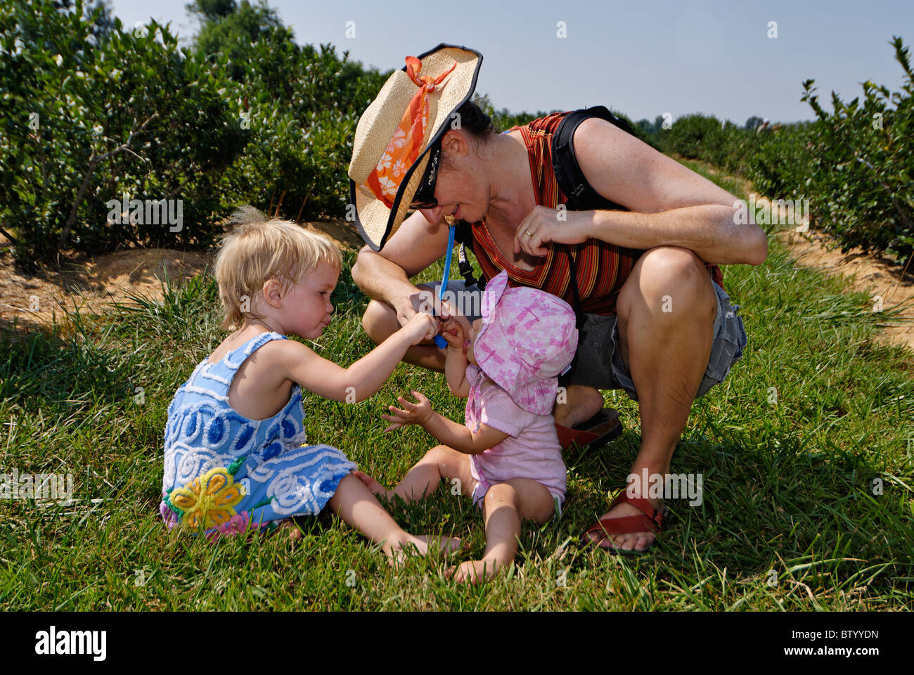 Frau im Strohhut geben ihre Nichten einen Drink in einem Blueberry Patch in Harisson County, Indiana Stockfoto